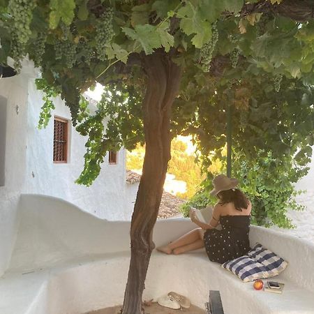 Las Casillas De La Villa Alegrias Montefrío Esterno foto