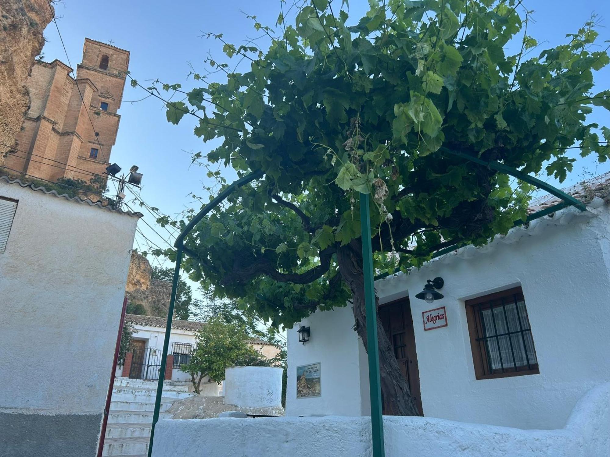 Las Casillas De La Villa Alegrias Montefrío Esterno foto
